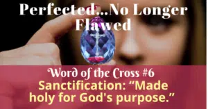 Sanctification-Made holy for God's purpose-Word of the Cross 6