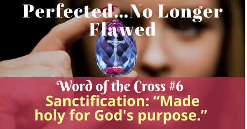 Sanctification-Made holy for God's purpose-Word of the Cross 6