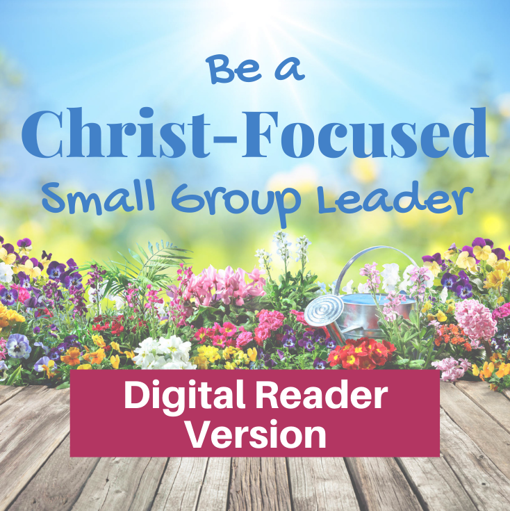 Be a Christ-Focused Small Group Leader-Digital Reader Version-SQ
