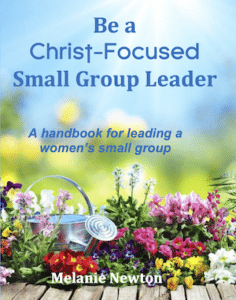 Be a Christ-Focused Small Group Leader-A handbook for leading a women's small group-paperback