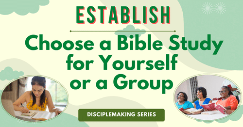 Choose a Bible Study for Yourself or a Group