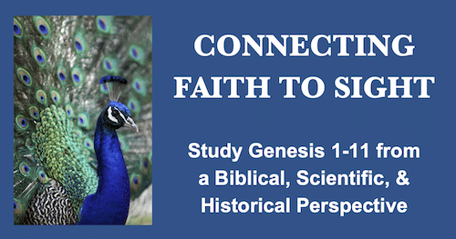 ConnectingFaithToLife-FrontCover-600rec Connecting Faith to Sight-Study Genesis 1to11