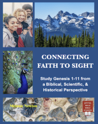 Connecting Faith to Sight-Study Genesis 1to11-paperback