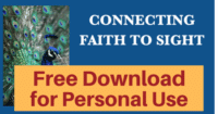 Connecting Faith to Sight Bible Study of Genesis 1-11 • Free download for personal use or to evaluate for your group