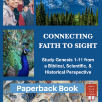 Connecting Faith to Sight-Paperback