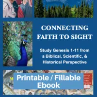 Connecting Faith to Sight-Study Genesis 1to11-printable / fillable version