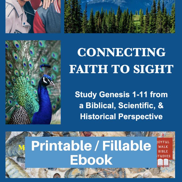 Connecting Faith to Sight Printable / Fillable Ebook product image