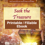Seek the Treasure-Short and Easy study of Ephesians-Printable / fillable version