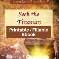 Seek the Treasure-Short and Easy study of Ephesians-Printable / fillable version