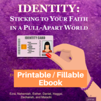 Identity-Study Ezra, Nehemiah, Esther, Daniel, Haggai, Zechariah, and Malachi-printable / fillable version