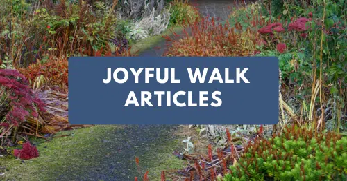 Joyful Walk Articles