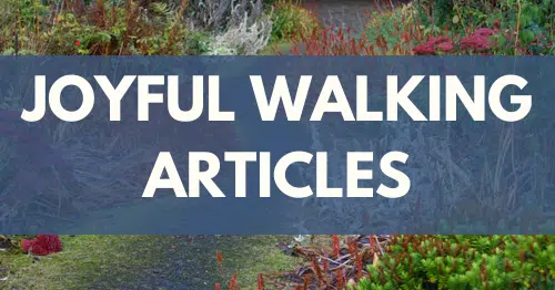 Joyful Walking Articles