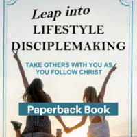 Leap into Lifestyle Disciplemaking-Paperback