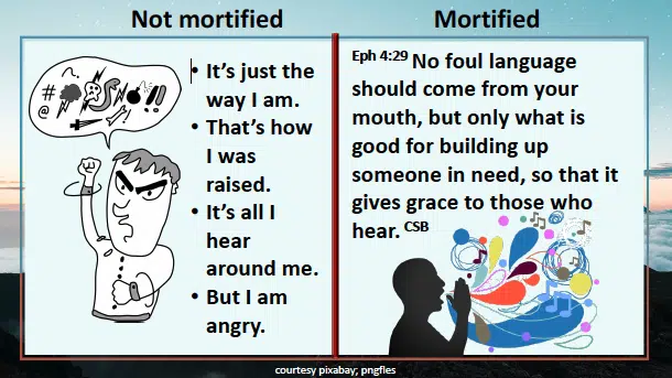 Mortify those rotten words • Ephesians 4:29