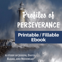 Profiles of Perseverance-Study the lives of Joseph, David, Elijah, and Nehemiah-printable / fillable version