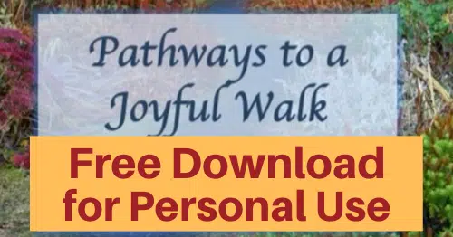 Pathways to a Joyful Walk Bible Study for a rewarding spiritual life-Free download for personal use or to evaluate for your group