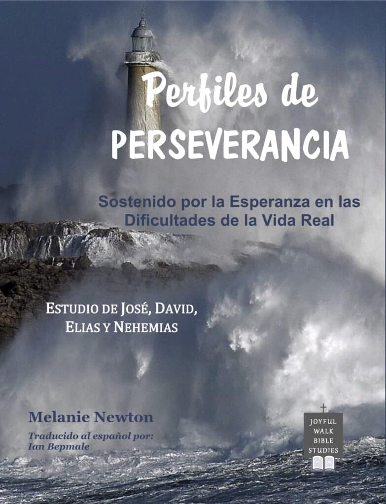 PerfilesDePerseverancia-FrontCover-pin