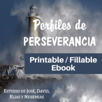 PerfilesDePerseverancia-PrintableFillableEbook