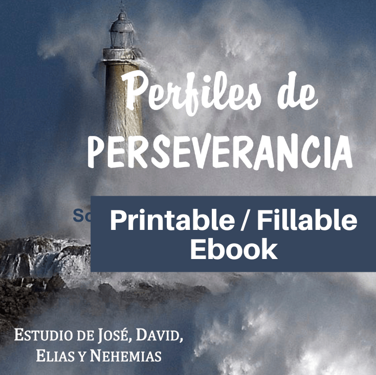 PerfilesDePerseverancia-PrintableFillableEbook
