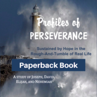 Profiles of Perseverance-Paperback