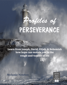 Profiles of Perseverance-Study the lives of Joseph, David, Elijah, and Nehemiah-paperback