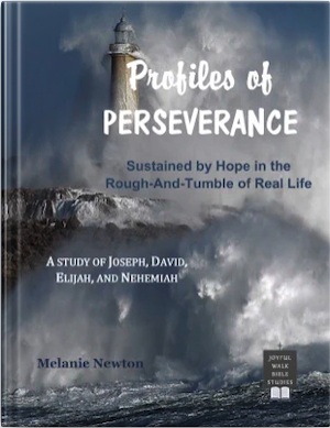 Profiles of Perseverance-Book Image