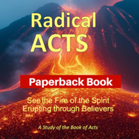 Radical Acts-Paperback