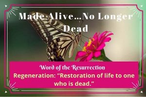 Made alive-no longer dead-regeneration-word of the resurrection