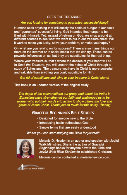 Seek the Treasure (Ephesians)—paperback - Image 2