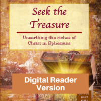 Seek the Treasure-Short and Easy study of Ephesians-Digital Reader Version