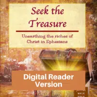 Seek the Treasure-Short and Easy study of Ephesians-Digital Reader Version