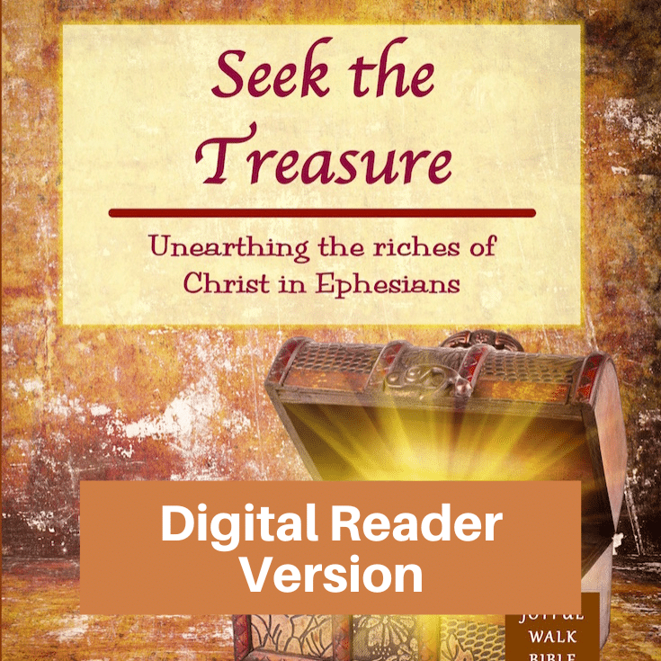 Seek the Treasure-Digital Reader Version-image