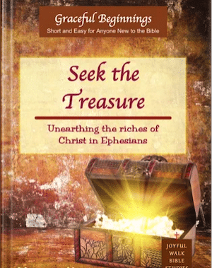 Seek the Treasure-Short and Easy study of Ephesians-paperback