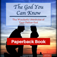 The God You Can Know-Paperback