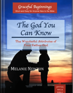 The God You Can Know book front cover