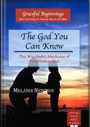 The God You Can Know-Book Image