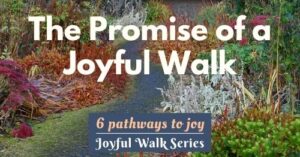 The promise of a joyful walk blog-6 pathways to joy