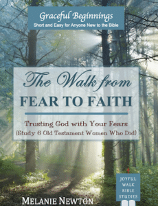 The Walk from Fear to Faith book front cover