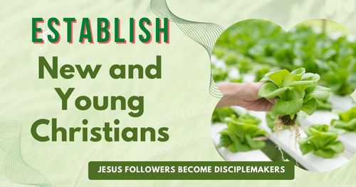 Lifestyle Disciplemaking Establish new and young Christians